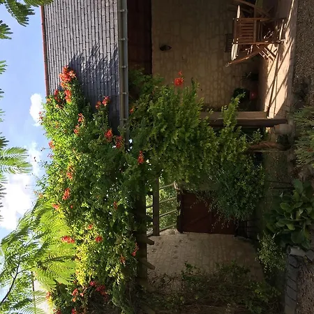 Pensionat Les Caves Ambillou-Château